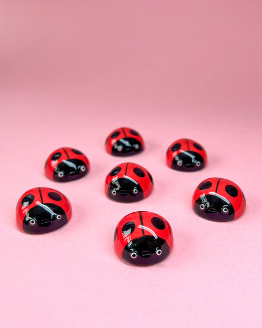 Ladybird