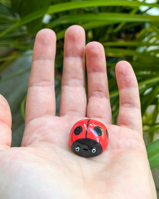 Ladybird