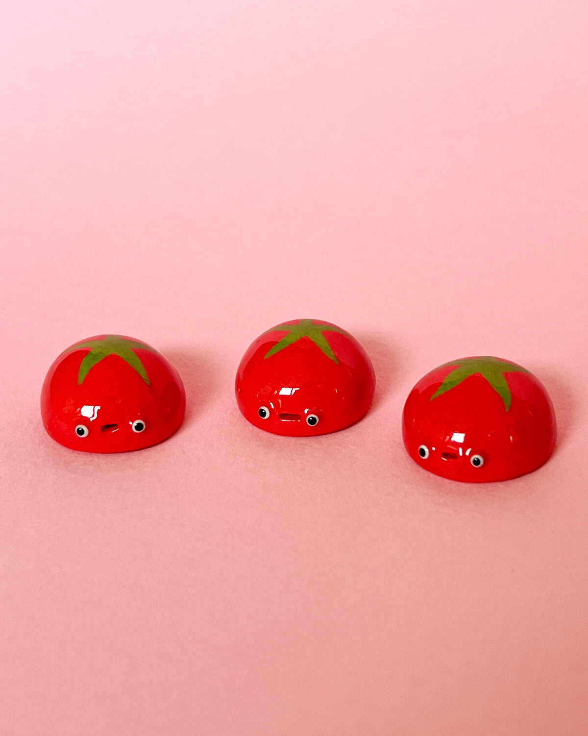 Tomato Bug