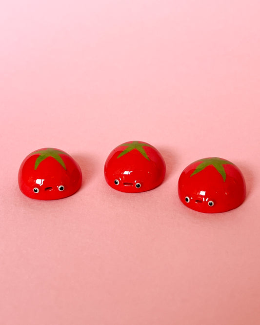 Tomato Bug
