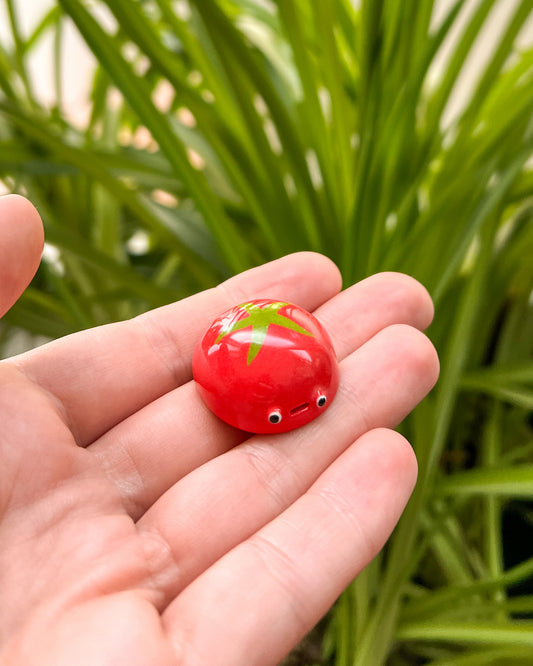 Tomato Bug